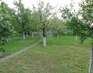 , 500m2 on Cluj-napoca, Zóna Grigorescu