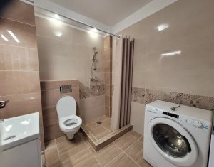 Appartement 1 chambres à louer dans Cluj-napoca