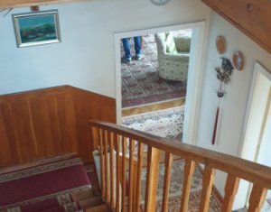 Maison 3 chambres à vendre dans Cluj-napoca, zone Andrei Muresanu