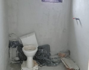 Maison 4 chambres à vendre dans Chinteni