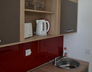 Appartement 1 chambres à louer dans Cluj-napoca, zone Centru