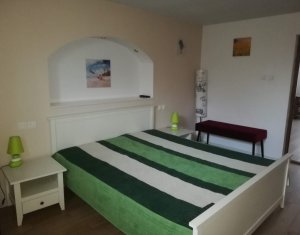 Appartement 2 chambres à louer dans Cluj-napoca, zone Andrei Muresanu