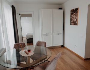 Appartement 2 chambres à louer dans Floresti