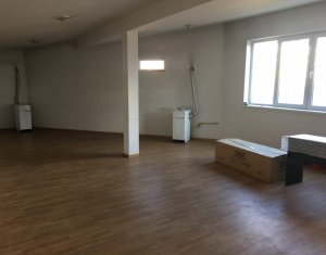 Maison 6 chambres à vendre dans Floresti
