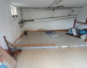 Maison 3 chambres à vendre dans Floresti