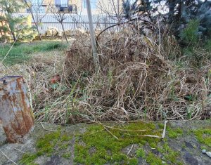 Maison 3 chambres à vendre dans Floresti