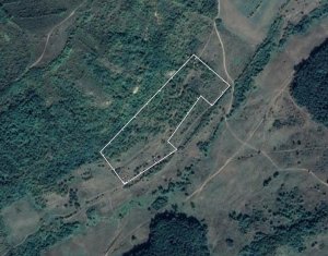 Telek eladó on Ocna Dejului