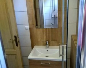 Nyaralók eladó on Baisoara