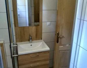 Nyaralók eladó on Baisoara