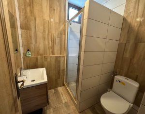 Nyaralók eladó on Baisoara