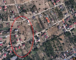 , 2942m2 on Cluj-napoca, Zóna Dambul Rotund