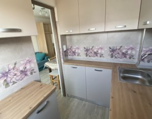 Appartement 1 chambres à louer dans Cluj-napoca, zone Zorilor