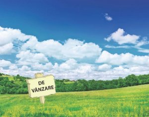 , 802m2 dans Cluj-napoca, zone Andrei Muresanu