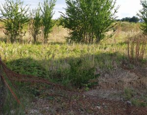 , 650m2 on Cluj-napoca, Zóna Borhanci