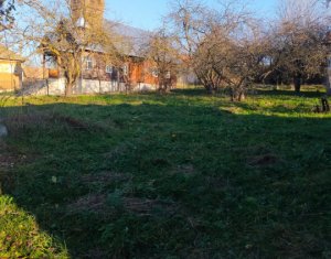 Ház 3 szobák eladó on Dangau Mic