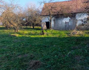 Ház 3 szobák eladó on Dangau Mic