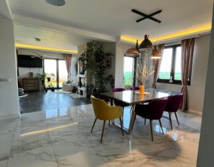 Maison 4 chambres à vendre dans Cluj-napoca, zone Borhanci