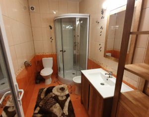 Appartement 2 chambres à louer dans Floresti