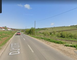 , 1100m2 dans Salicea