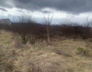 Terrain à vendre dans Cluj-napoca, zone Buna Ziua