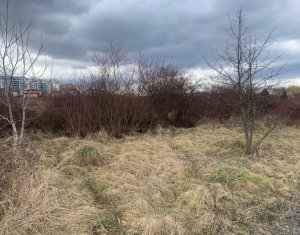 Terrain à vendre dans Cluj-napoca, zone Buna Ziua