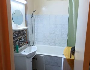 Appartement 1 chambres à vendre dans Cluj-napoca, zone Manastur