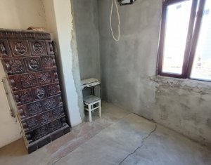 Maison 3 chambres à vendre dans Cluj-napoca, zone Centru