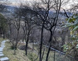 Terrain à vendre dans Cluj-napoca, zone Grigorescu