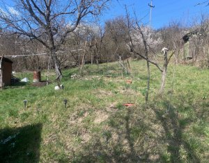 Terrain à vendre dans Cluj-napoca, zone Grigorescu