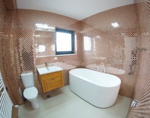 Lakás 2 szobák kiadó on Cluj-napoca, Zóna Borhanci