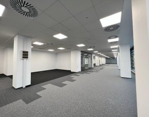 Birouri finisate 510mp open space, Office Building 