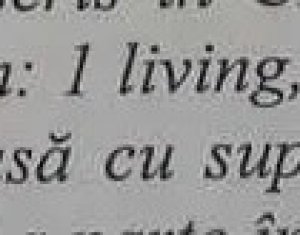 Appartement 1 chambres à vendre dans Floresti