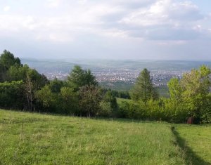 , 1145m2 dans Feleacu