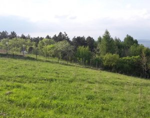 Terrain à vendre dans Feleacu