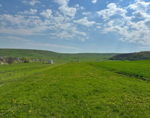 , 4300m2 dans Dezmir