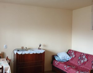 Maison 2 chambres à vendre dans Salicea, zone Centru