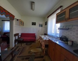 Maison 2 chambres à vendre dans Cluj-napoca, zone Bulgaria