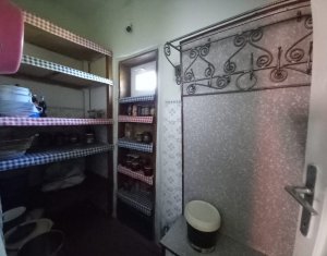 Maison 2 chambres à vendre dans Cluj-napoca, zone Bulgaria