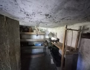 Maison 2 chambres à vendre dans Cluj-napoca, zone Bulgaria