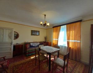 Maison 2 chambres à vendre dans Cluj-napoca, zone Bulgaria