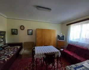 Maison 2 chambres à vendre dans Cluj-napoca, zone Bulgaria