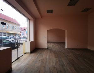 Maison 10 chambres à louer dans Turda, zone Centru