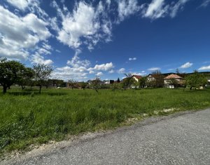 Terrain à vendre dans Cluj-napoca, zone Borhanci