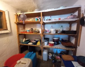 Maison 3 chambres à vendre dans Cluj-napoca, zone Bulgaria