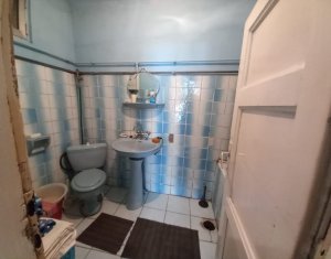 Maison 3 chambres à vendre dans Cluj-napoca, zone Bulgaria