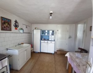 Maison 3 chambres à vendre dans Cluj-napoca, zone Bulgaria