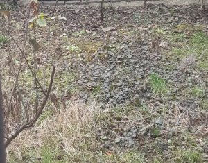 Appartement 2 chambres à vendre dans Cluj-napoca, zone Gheorgheni