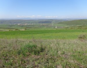 , 497m2 dans Cluj-napoca, zone Dambul Rotund