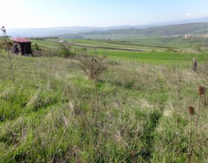 Terrain à vendre dans Cluj-napoca, zone Dambul Rotund