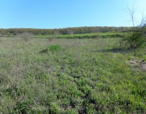 Terrain à vendre dans Cluj-napoca, zone Dambul Rotund